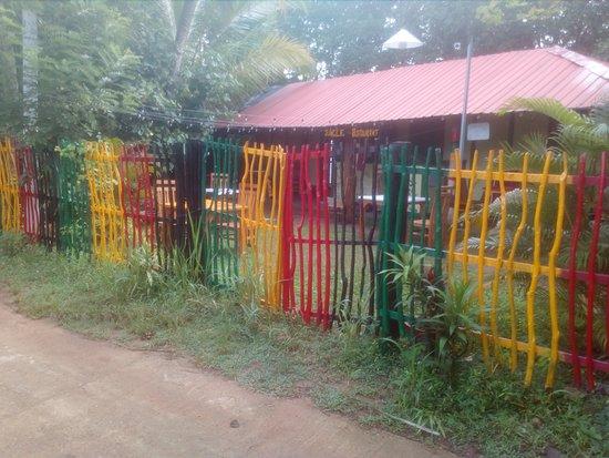 Jungle Restaurant